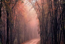 意甲赛场一幕幕难忘，美如画卷