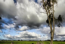 新疆队取胜领跑，球队状态亮眼