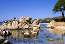 纳华拉：足球场上的完美化身——球员表现出色，攻防兼备